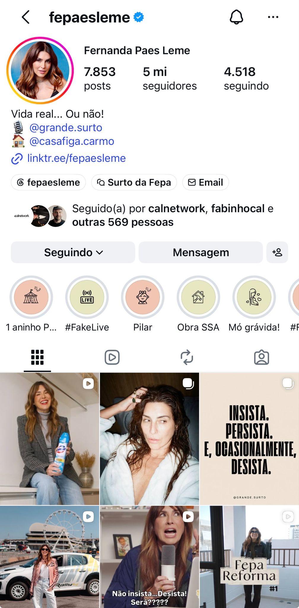 Perfil de Fernanda Paes Leme no Instagram